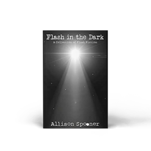 Cover of Flash in The Dark: A Collection of Flash Fiction by Allison Spooner