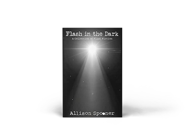 Cover of Flash in The Dark: A Collection of Flash Fiction by Allison Spooner